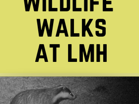 Wildlife walks at LMH - Hilary Term 2019