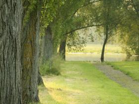 LMH grounds