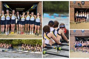 Collage of photos of rowers competing in the Summer Eights competition