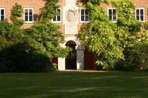 Green wisteria plants climbing up a red brick building