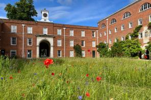 A spiral of wildflowers including poppies and green grasses in front of a red brick building with a clock tower