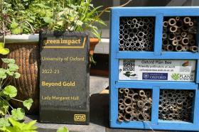 Photo of a Green Impact Beyond Gold Award awarded to LMH, sitting amongst pots of plants and next to a blue bee hotel