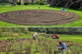 Two photos stacked on top of one another. The first picture shows a circular garden bed in the middle of a green lawn, empty except for brown soil. The second photo shows the same circular garden bed with plants in it