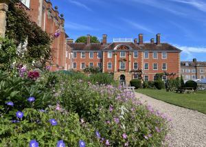 View of the LMH grounds with some vibrant purple and pink flowers in the foreground and red brick buildings in the background