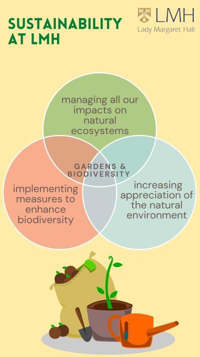 Graphic outlining information about biodiversity in LMH's gardens
